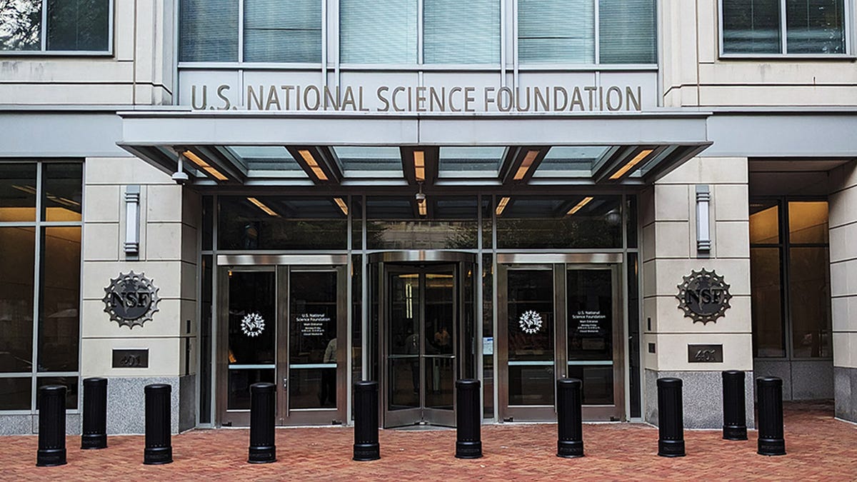Photograph accompanying Former research council chief warns NSF's priority-led funding may embolden UK advocates of the same approach