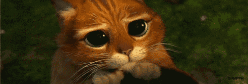 Porfa GIFs - Find & Share on GIPHY