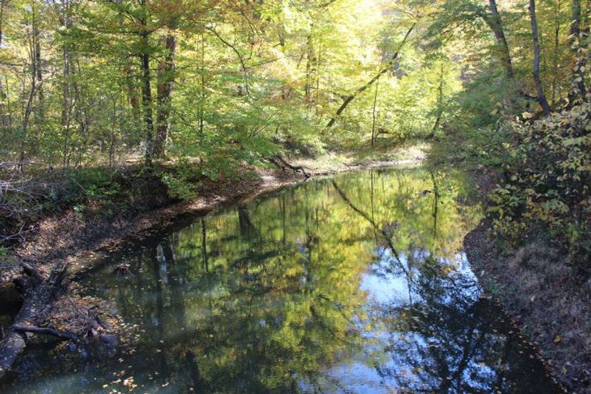 Galien River, Warren Woods
