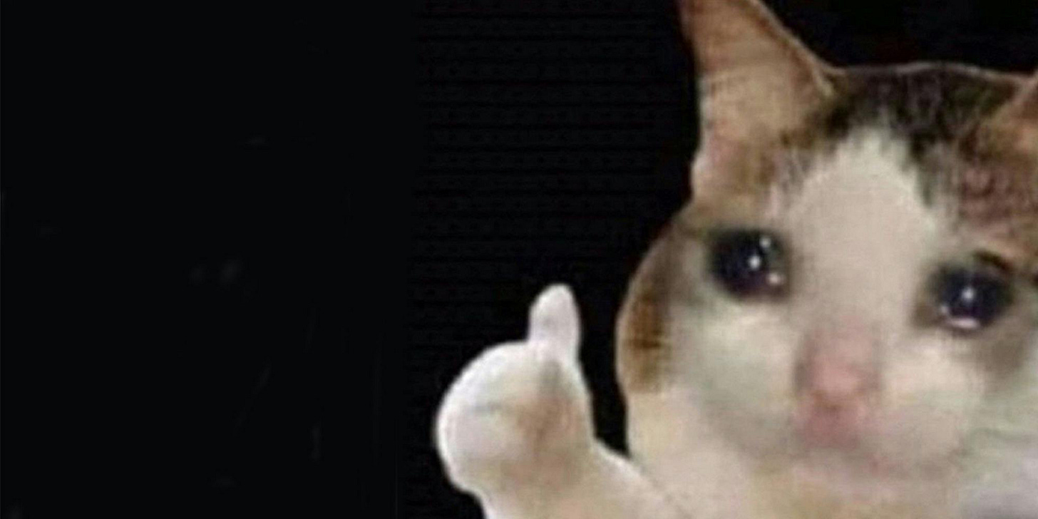 Crying Cat Thumbs Up Meme Origins, History, And Spread