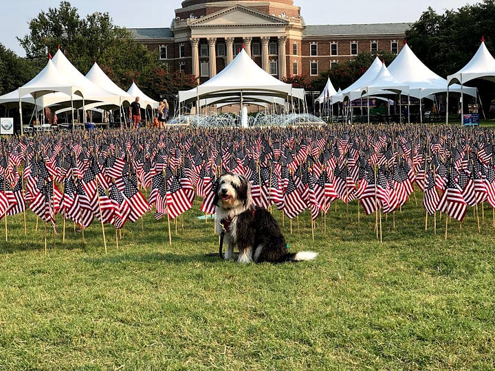 On the left, a family photo of Melora Fern with kids and her parents, all dressed in stars and stripes clothes. On the right a shaggy black and white dogs sits in front of thousands of flags in a yard with white tents in the background all dressed in