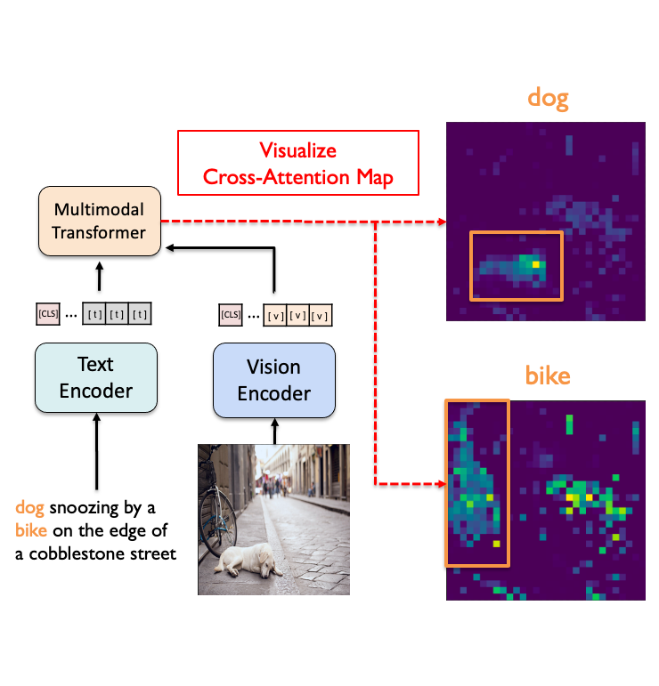 Verifying Vision-Language Alignment with Cross-Attention Map (feat. DINO)