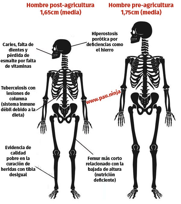 La ganadería es la culpable del hambre mundial?