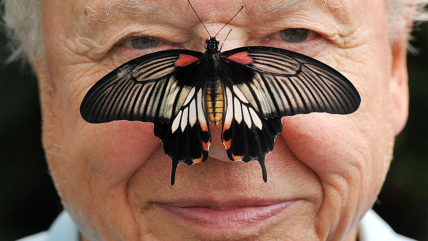 David Attenborough | An Explorer's Biography | Britannica