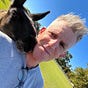 Patrick Fellows's avatar