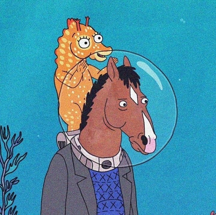 Heedie’s Newsletter