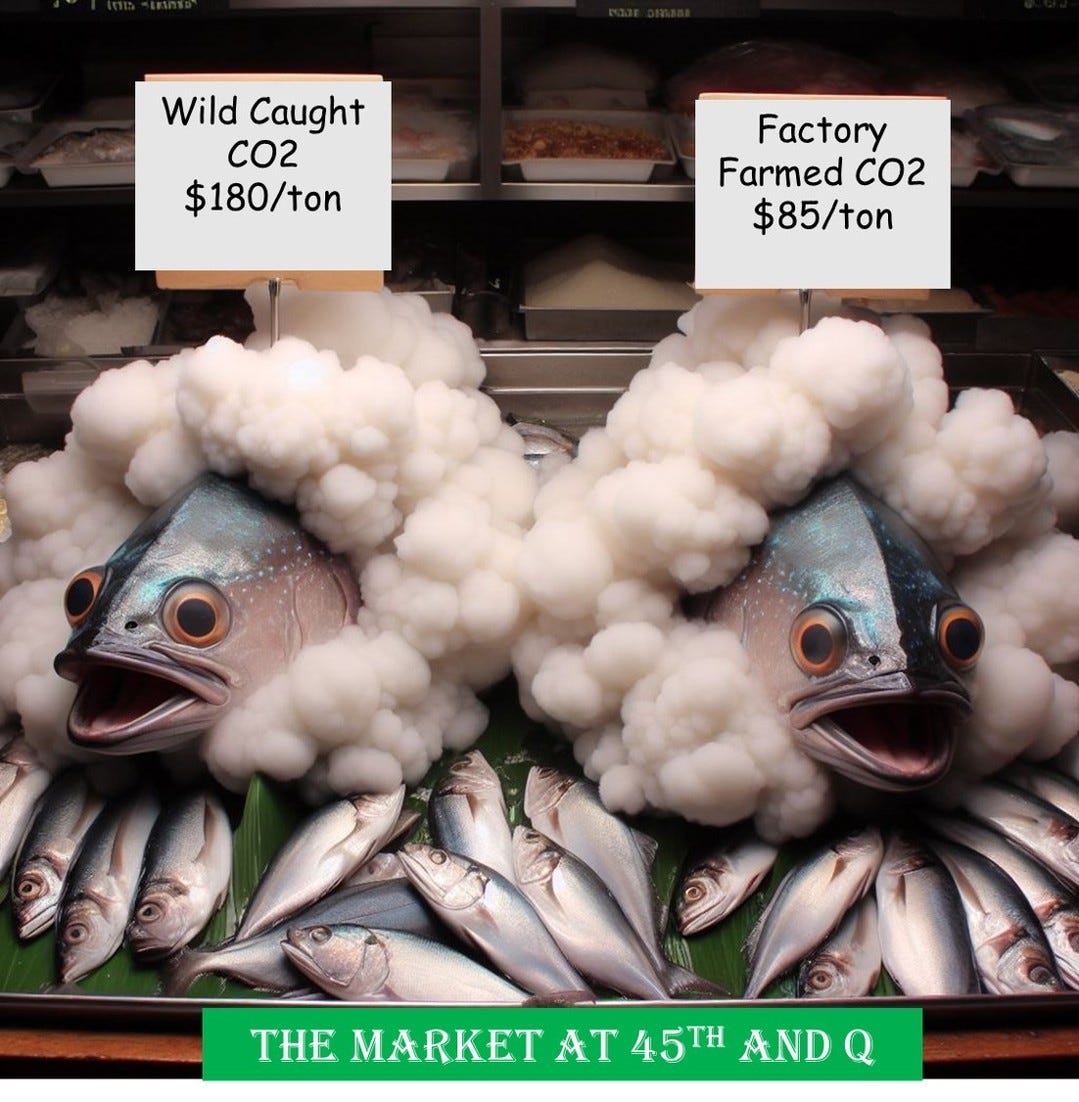 A fish market display of fish heads in white clouds, with signs reading "Wild Caught CO2 $180/tonne" and "Factory Farmed CO2 $85/tonne", and a banner "The Market at 45th and Q".