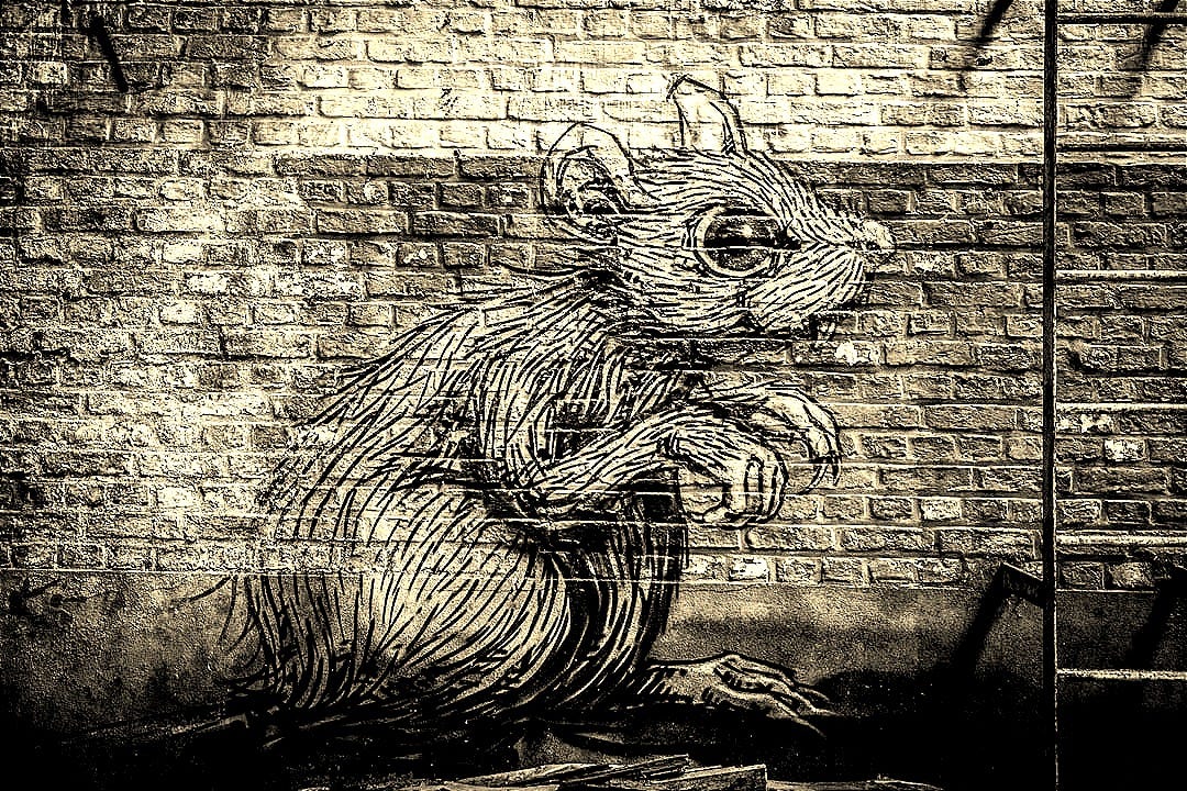 rat graffiti cart