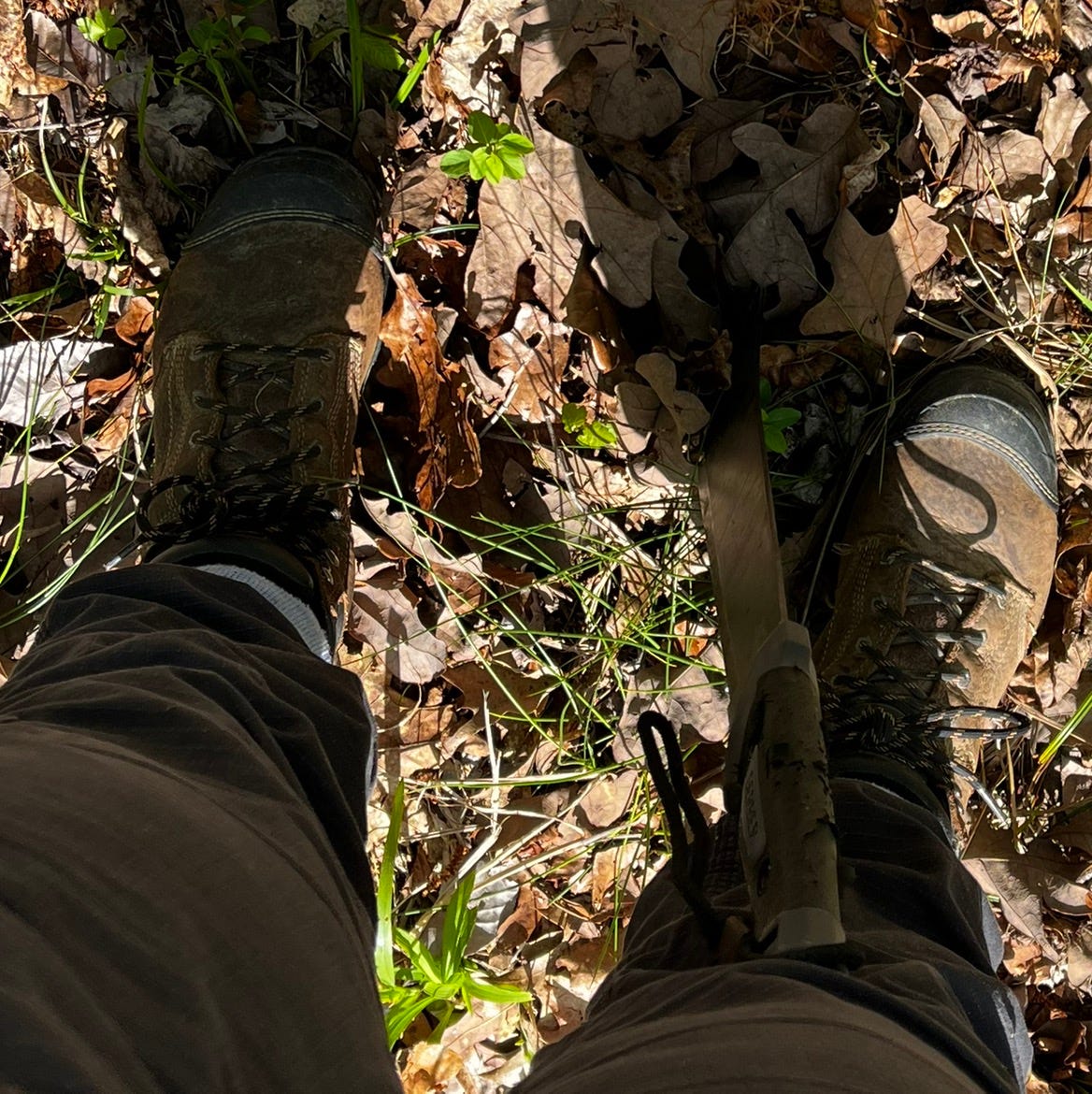 Artwork for TheLostDescendant