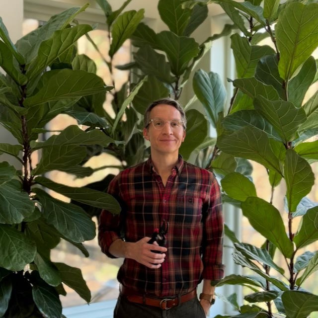 Daniel Stanford standing among tall fiddle leaf fig plants