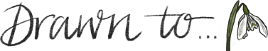 Drawn to… 
