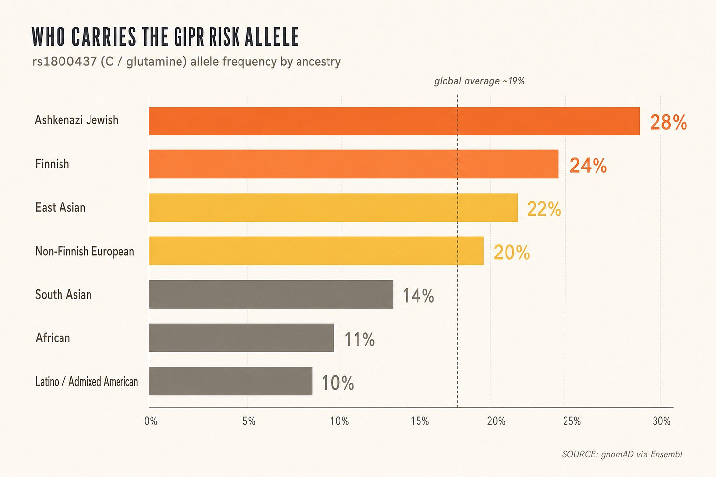 Ranked bar chart of the GIPR risk allele frequency by ancestry: Ashkenazi Jewish 28 percent, Finnish 24 percent, East Asian 22 percent, non-Finnish European 20 percent, South Asian 14 percent, African 11 percent, Latino or Admixed American 10 percent, against a global average near 19 percent