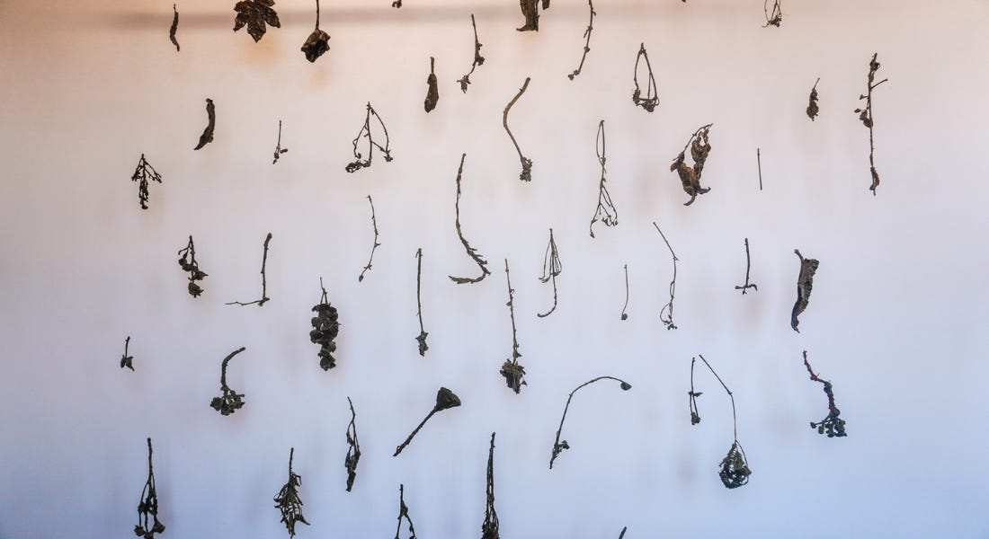 A collection of bronze hanging plants on a white wall A collection of bronze hanging plants on a white wall