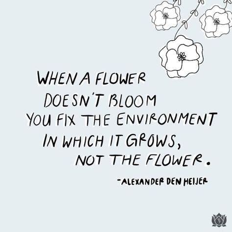 When a flower doesn't bloom you fix the environment in which it grows, not the flower. - Alexander Den Heijer
