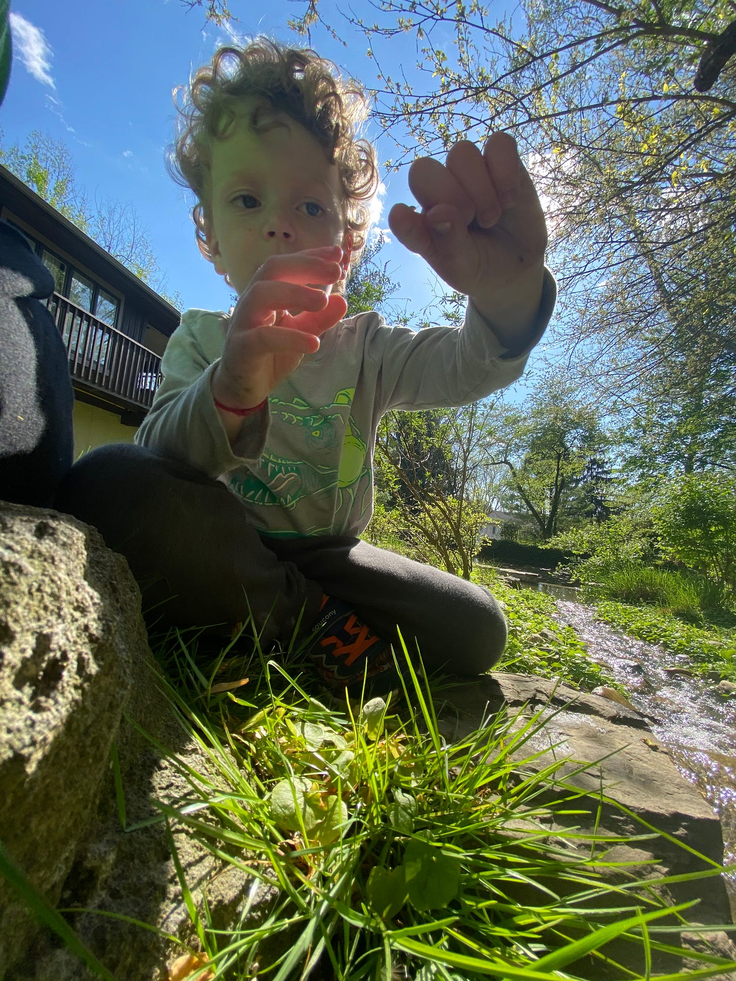 Jagger letting a bug crawl on his hand