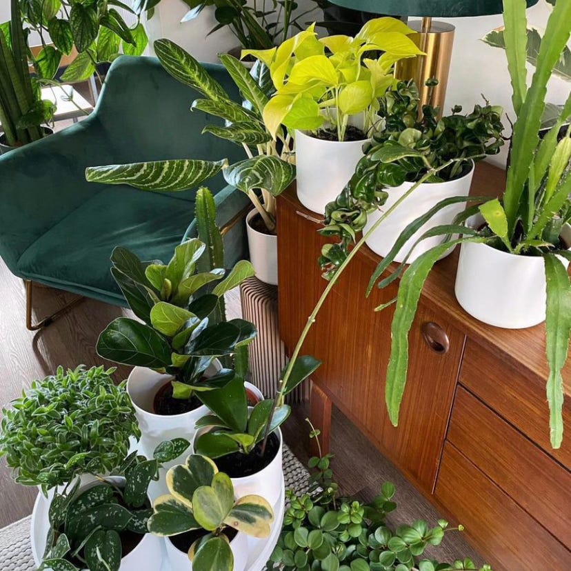 In My Diary Poetry•Richard De-Graft