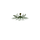 Rooted Aether Natural Living