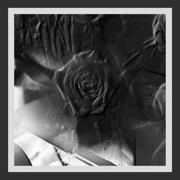 cover art cover art