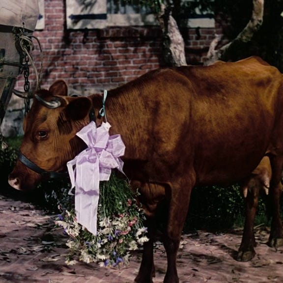 the bombs we plant in each other