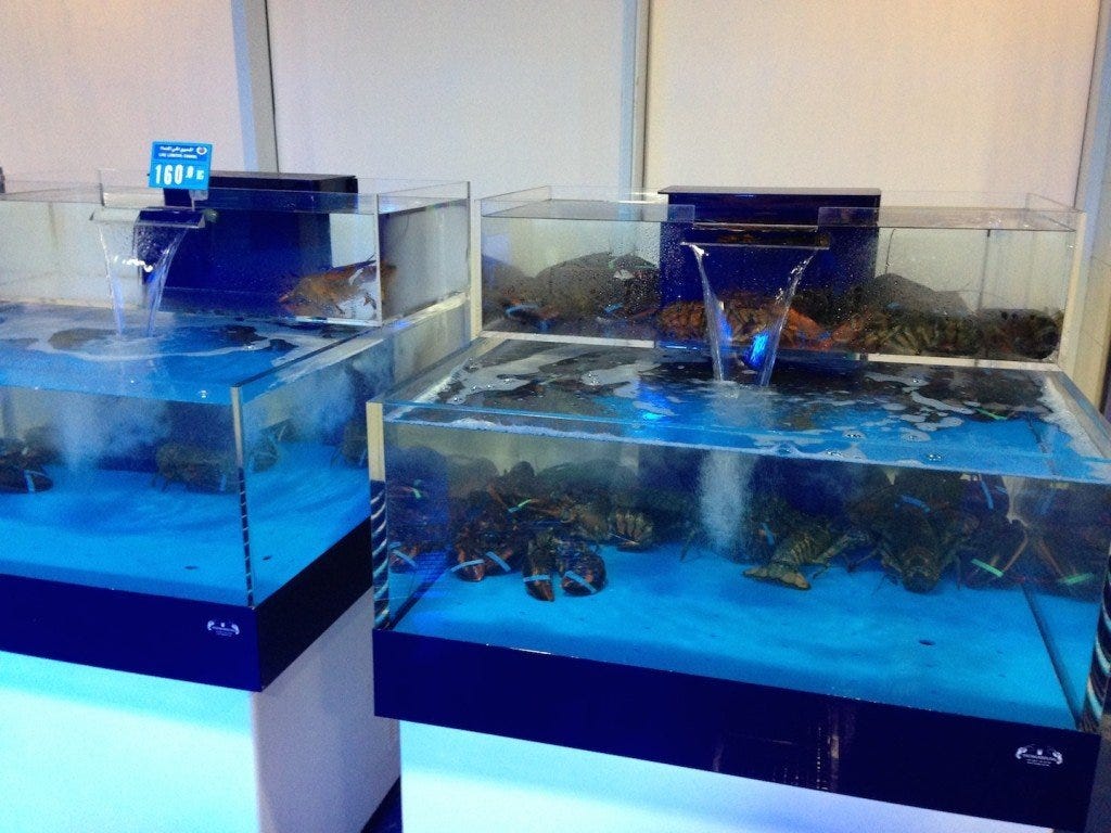 Live seafood section