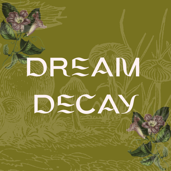 Dream Decay (formerly Seesaw)