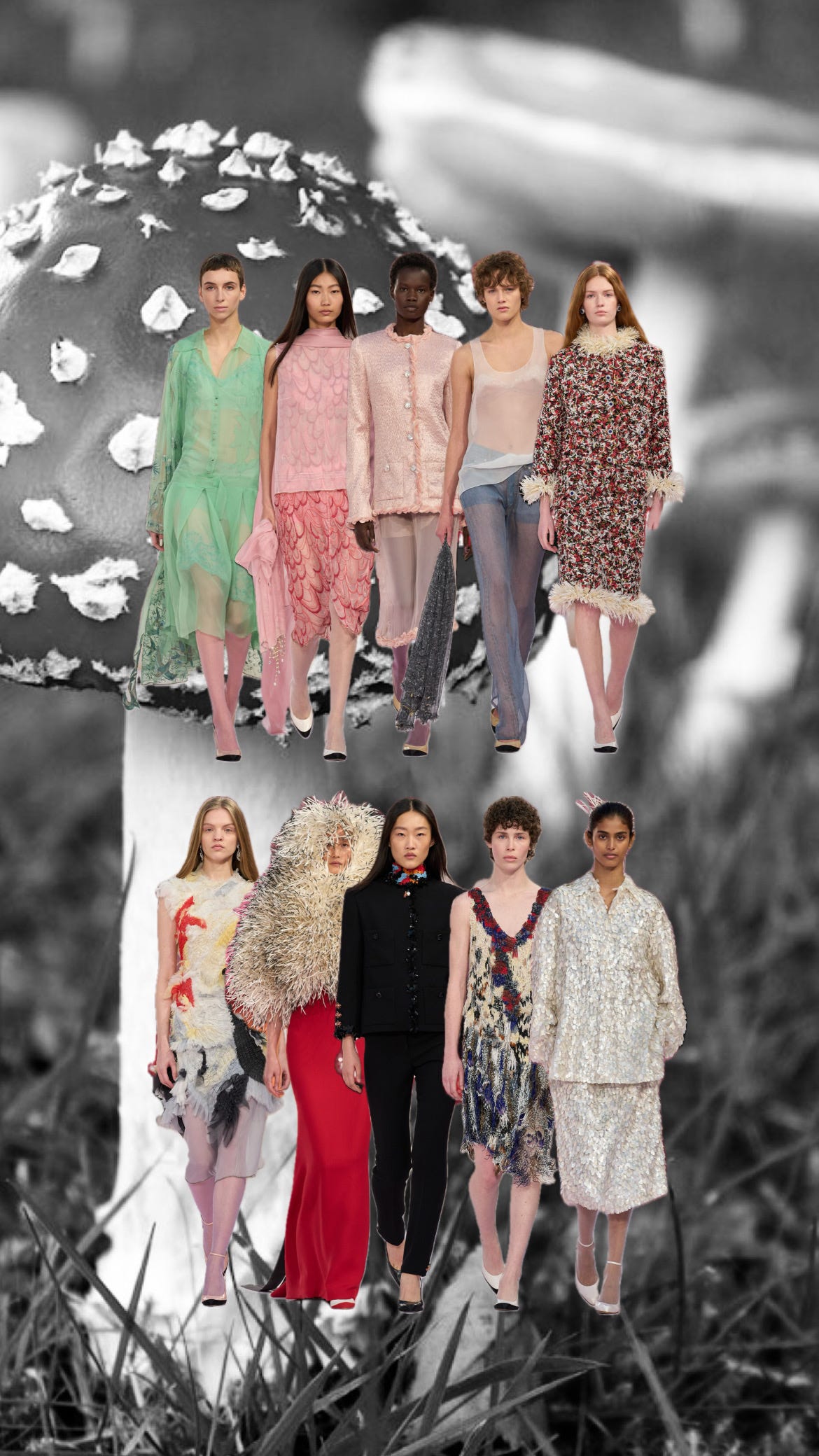 Schiaparelli, Dior, Chanel, Valentino - by caroline ludomir