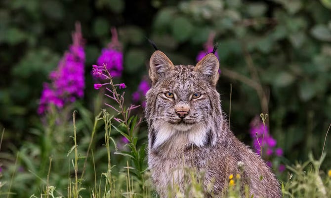 Links For April 2026