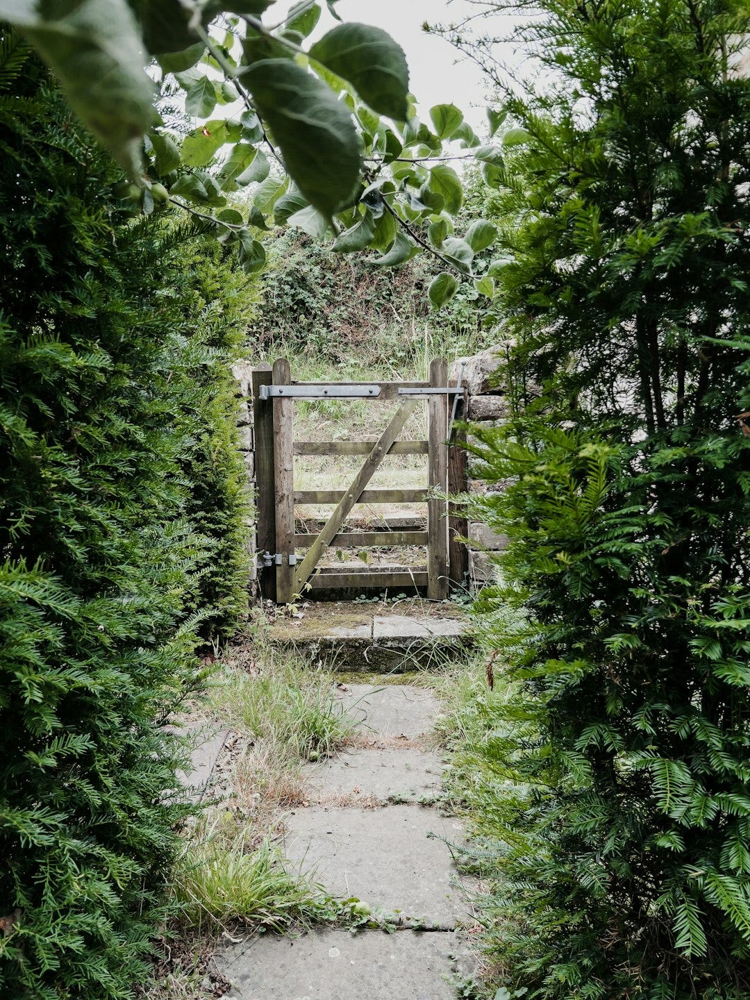 a wooden gate in a garden a wooden gate in a garden