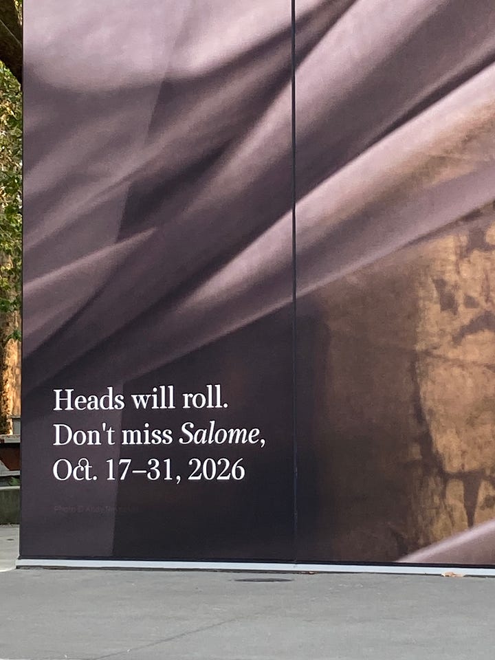 Tongue-and-cheeky opera adverts