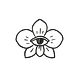 Orchideia Dossier
