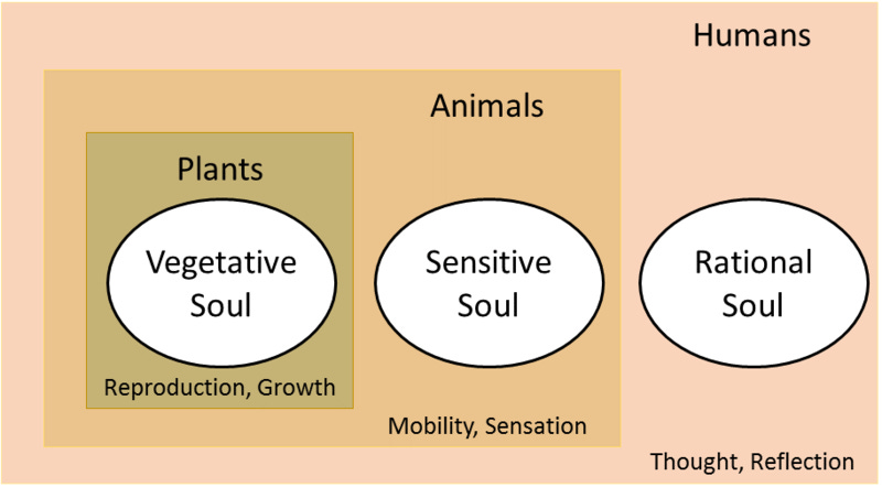 A diagram of different types of plants

Description automatically generated