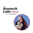 The SundayPyjamas Perspective