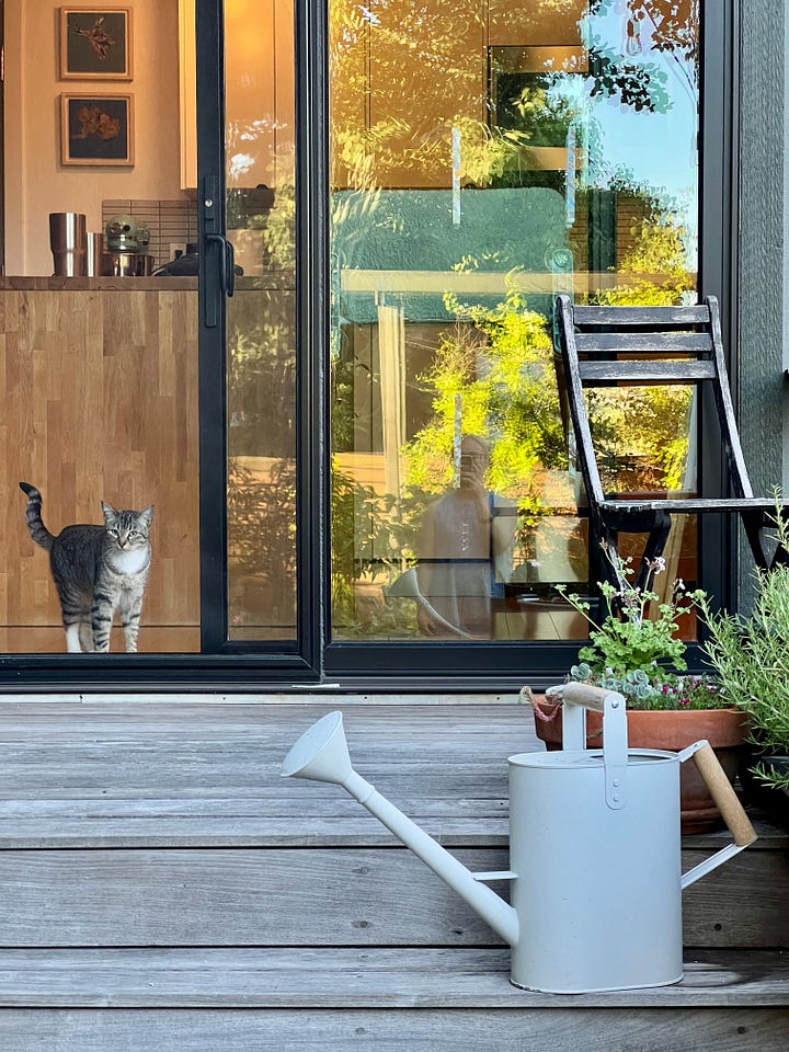 An herb garden and a cafe table grace Jen Pulcillo's small deck