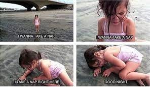 101 Good Night Memes for When You Want Funny Goodnight Wishes | Good night  funny, Good night meme, Good night friends