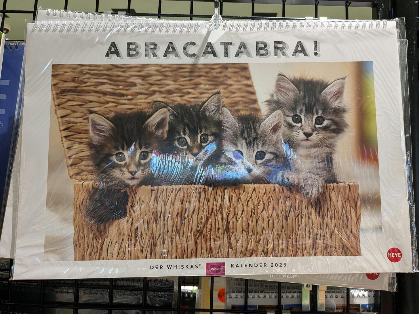 On a calendar for 2025, four tabby kittens are sitting in a wicker basket. The calendar features the heading "Abracatabra".