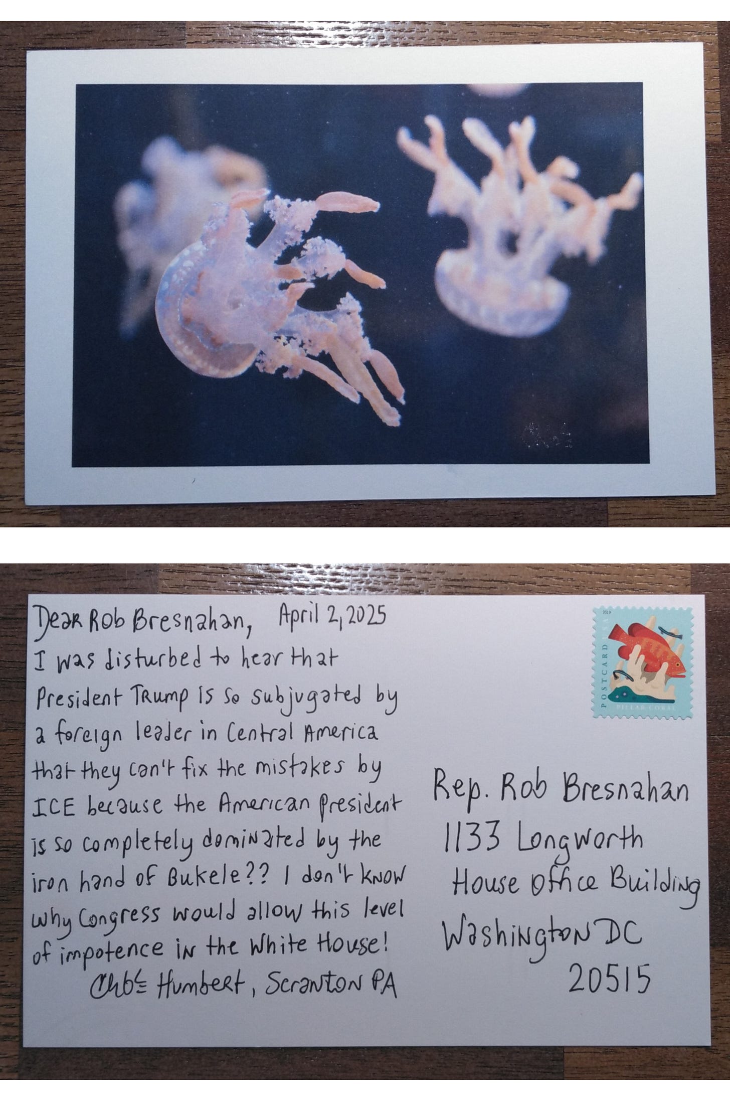 Postcard with photo by Chloe Humbert of jellyfish in the Mystic Aquarium in Connecticut, the postcard is addressed to Rep. Rob Bresnahan in Washington DC. Dated April 2, 2025. Dear Rob Bresnahan, I was disturbed to hear that President Trump is so subjugated by a foreign leader in Central America that they can’t fix the mistakes by ICE because the American president is so completely dominated by the iron hand of Bukele?? I don’t know why Congress would allow this level of impotence in the White House! Signed Chloe Humbert, Scranton PA