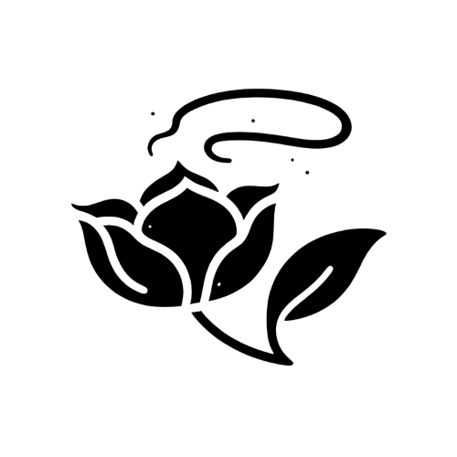 Camélia’s Substack