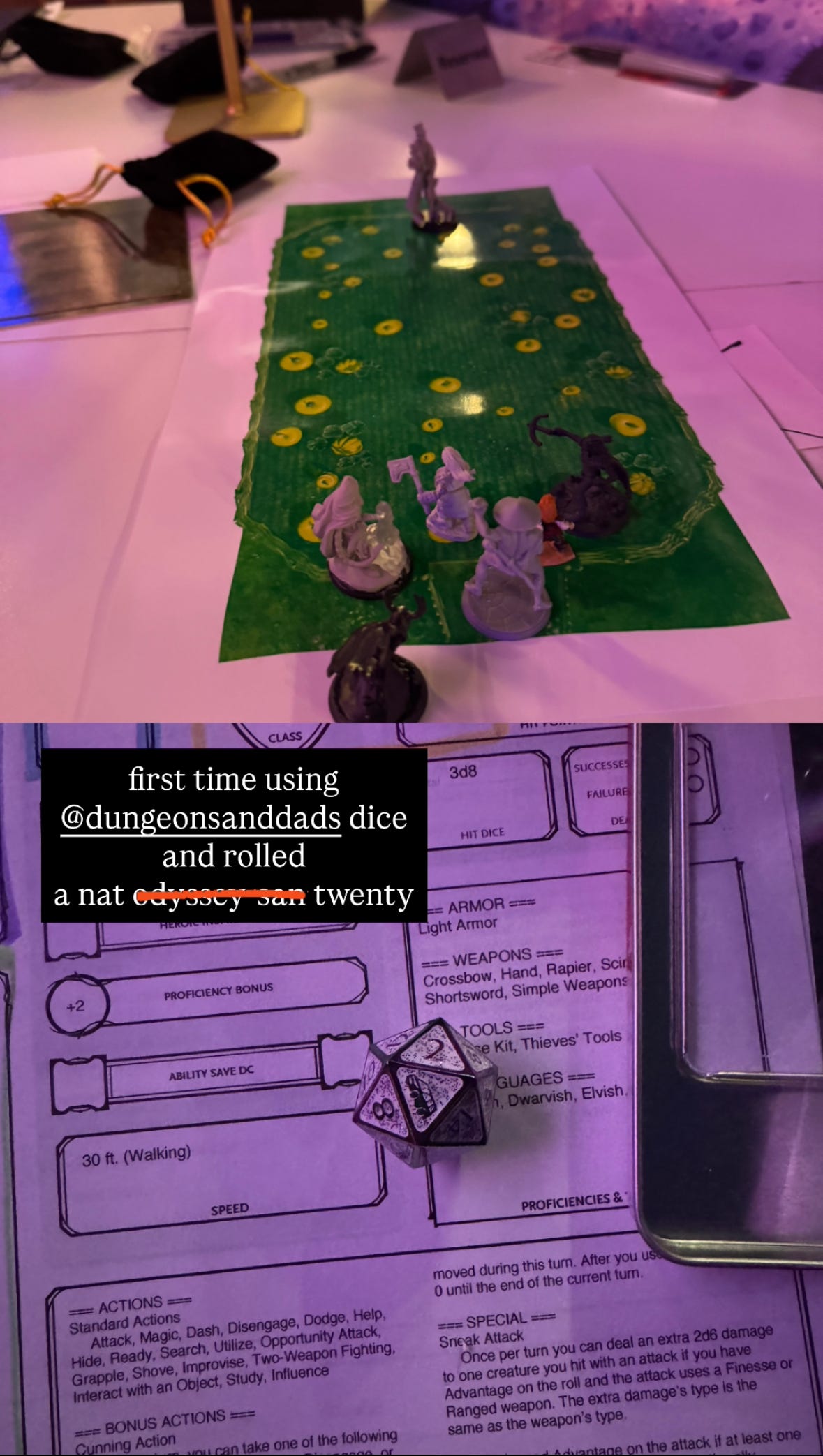 Two photos, one is a photo of miniature D&D characters on a pumpkin patch map about to fight a man with a pumpkin for a head. The second photo is of Kat’s iridescent, 20-sided die on top of her character sheet. The die was rolled to a perfect natural 20.