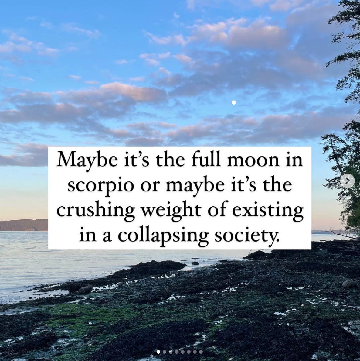 Instagram meme reading "Maybe it's the full moon in scorpio or maybe it's the crushing weight of existing in a collapsing society" over a photo of a beach and beautiful moon rise at dusk. Instagram meme reading "Maybe it's the full moon in scorpio or maybe it's the crushing weight of existing in a collapsing society" over a photo of a beach and beautiful moon rise at dusk.