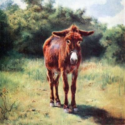 Letters from a Reading Mother