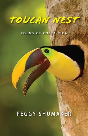Toucan Nest by Peggy Shumaker | Goodreads