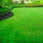 Over The Garden Wall