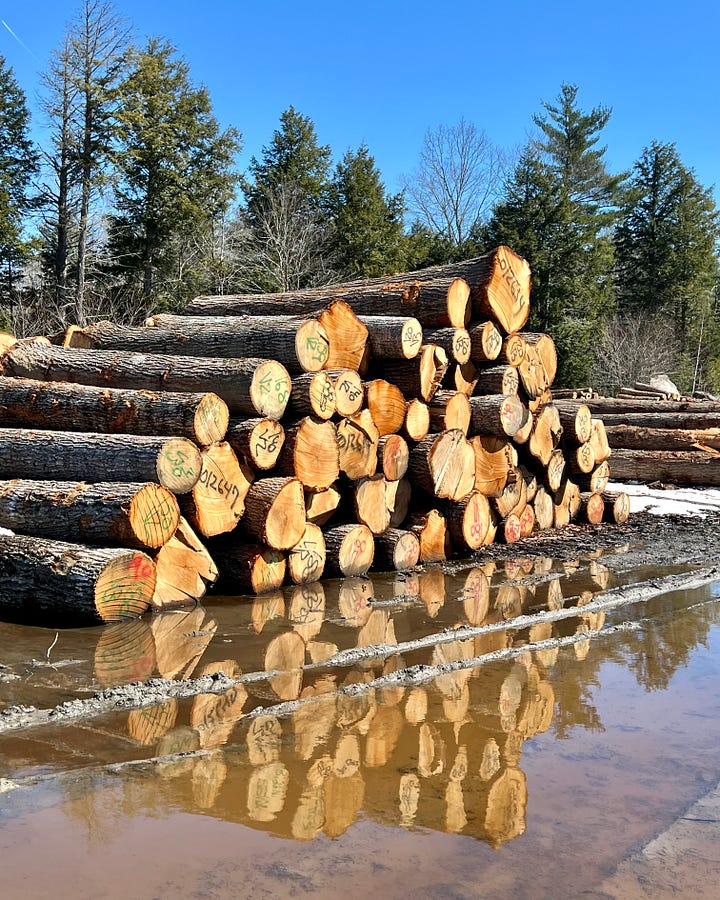 Log yard language: 21" at small end, 10' long - "210" & V3 means it is clear except for an issue or two.