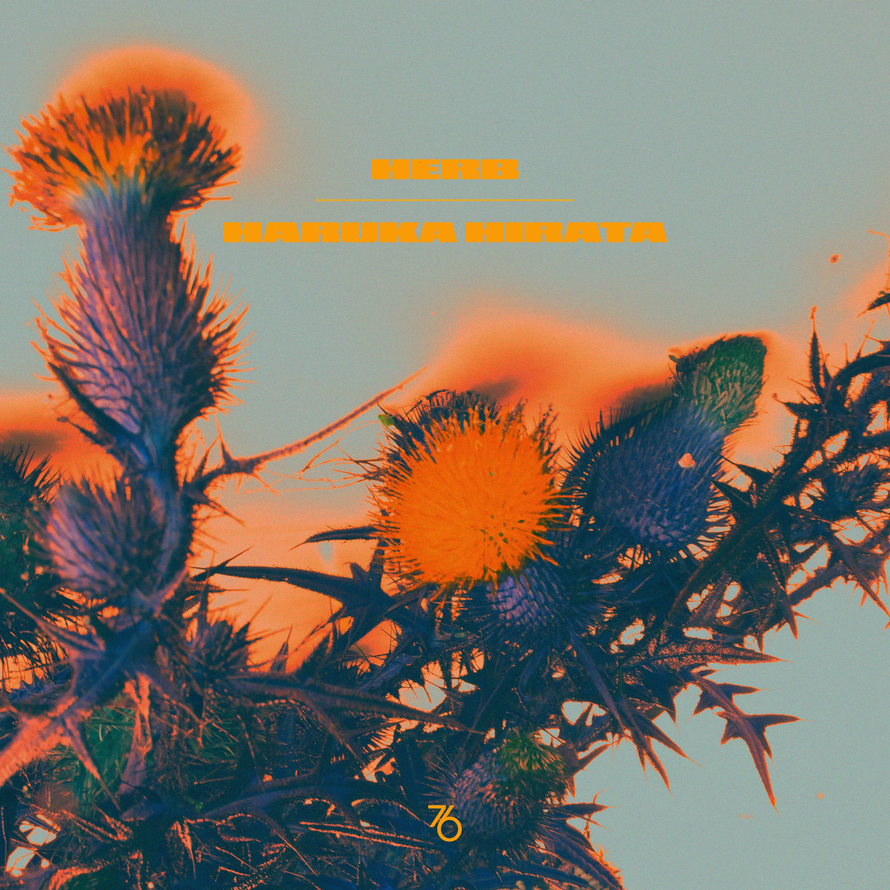 KING HEAVEN EVERYTHING INNOVATOR 帯付き RYO Herb Sundays 76: Haruka Hirata (Big Love Records)