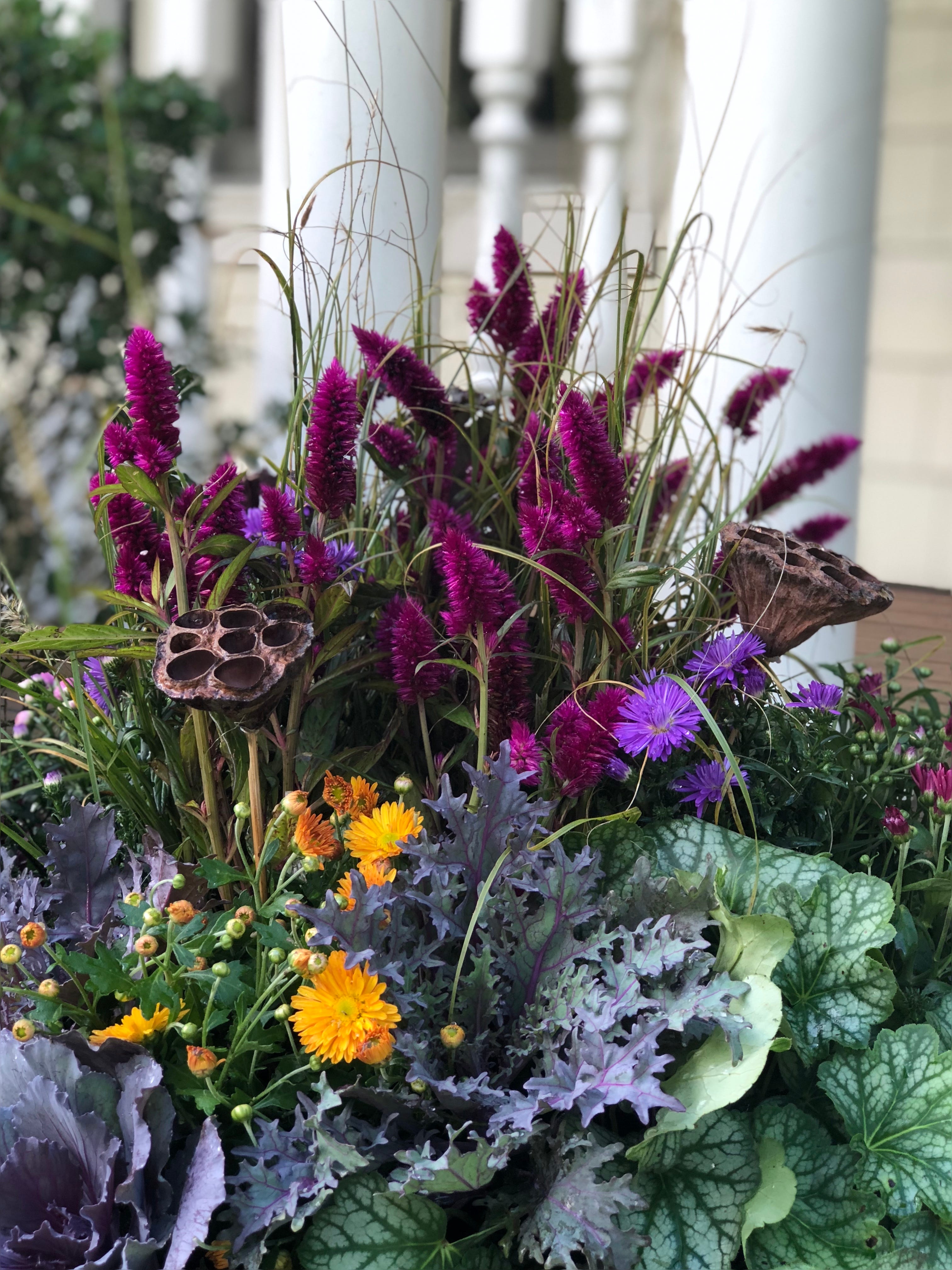 Inspired Fall Containers - by Laura Janney - Get Inspired, image size:3024x4032
