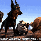 Elon Musk Leaving It All Out On Field For Trump ('It' Is His Brains)