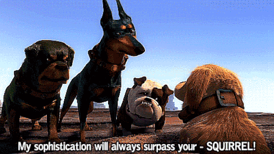 GIF image of dogs in Pixar's UP; villain dog says in caption, 'My sophistication will always surpass your — SQUIRREL!' as the dogs all look to the side