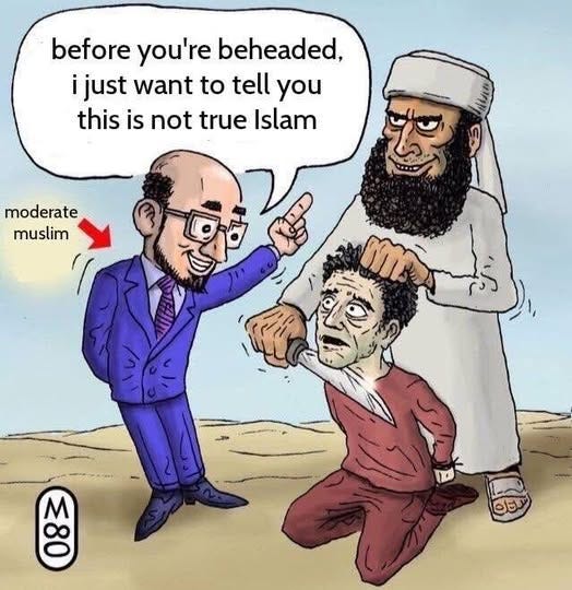 May be an image of text that says 'before you're beheaded, i just want to tell you this is not true Islam moderate muslim 88 M M M ထ၀ ದఈು'