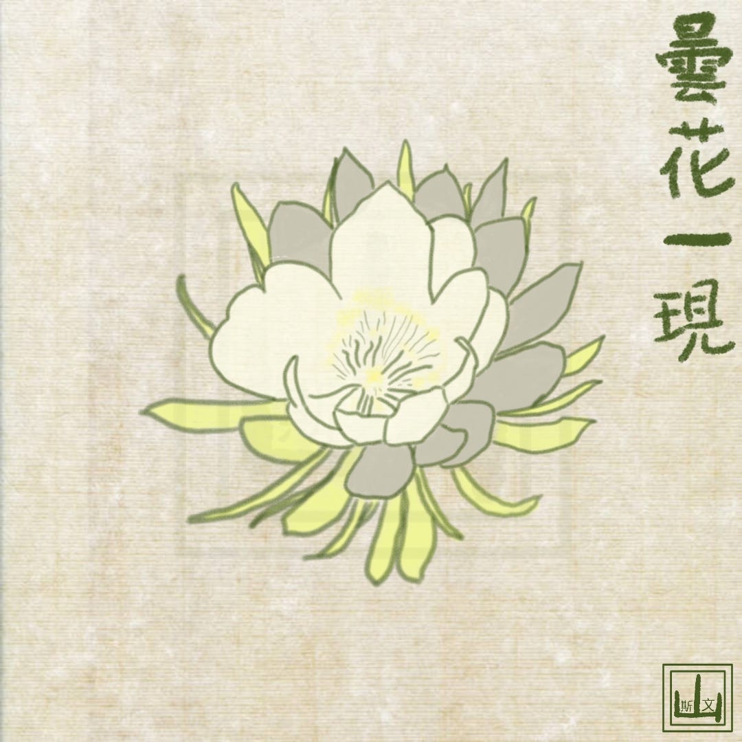 A digital illustration styled like a traditional Chinese watercolor painting on lightly textured, pale beige rice paper. At the center is a single night-blooming cereus flower, drawn with loose, organic outlines in a dark, earthy olive green. The flower is fully bloomed, featuring soft, creamy off-white inner petals that cup a detailed center of fine, thread-like pale yellow stamens. Framing the white blossom are longer, pointed outer sepals painted in alternating shades of pale, yellowish sage green and a muted, light taupe.  Running vertically down the top right side is Chinese calligraphy painted in the same dark, earthy olive green that reads "曇花一現" (Tánhuā yī xiàn), an idiom translating to "a fleeting, short-lived moment," referencing the flower's brief nighttime bloom. In the bottom right corner sits a square artist's seal, also stamped in the dark olive green, enclosing a stylized mountain symbol (山) above the Chinese characters "斯文" (Siwen), representing the artist name Siwen Shan.