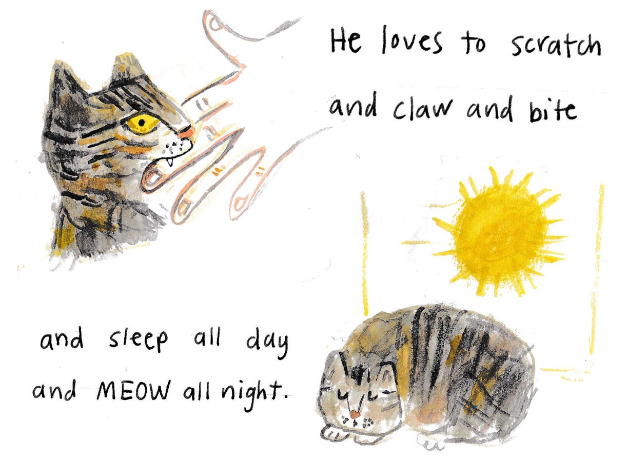 naughty cat illustration by Beth Spencer